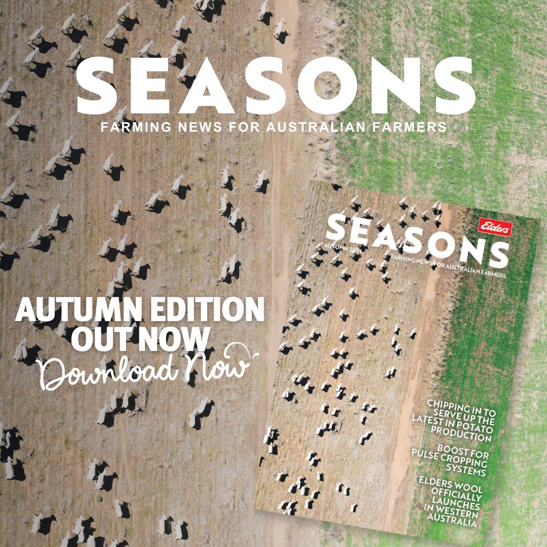 The autumn 2024 edition of Seasons magazine is out now!
Read timely articles and new product insights from leading suppliers. Topics include: crop protection, animal health, seed and farm supplies.
Read now: elders.com.au/for-farmers/fa…