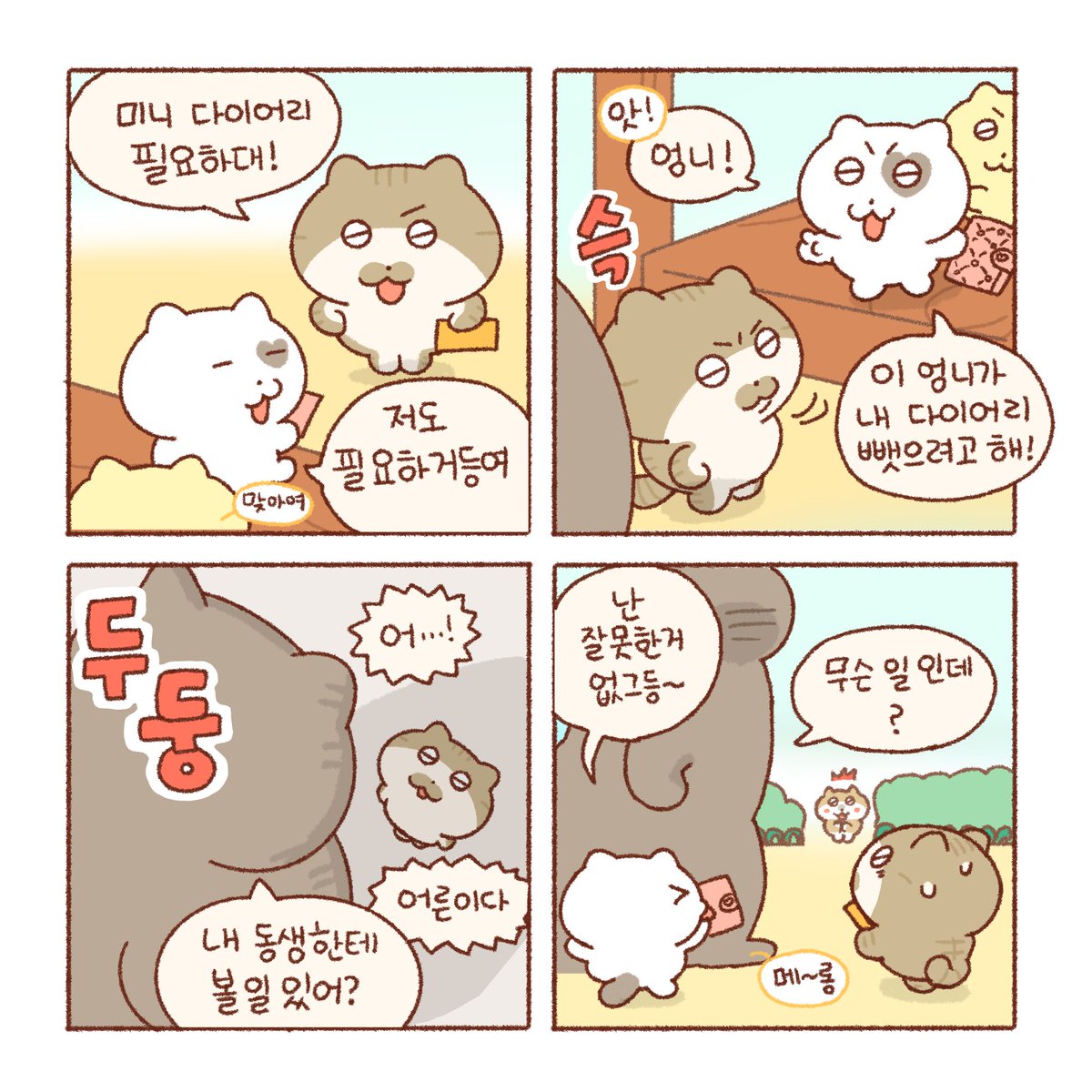 교환 🍬
-언니들의 대결