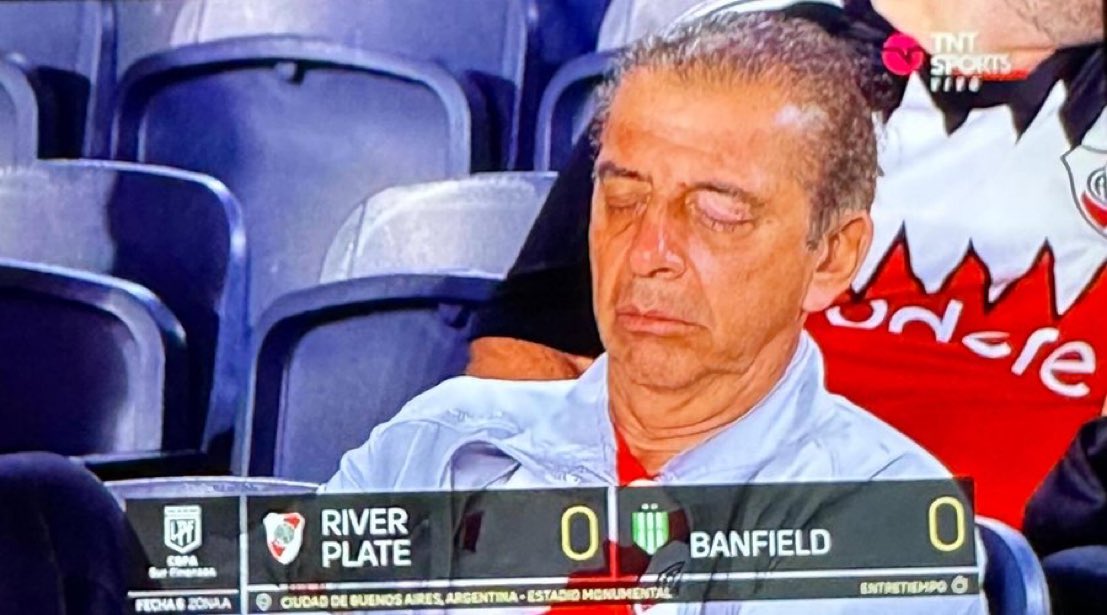 🎶 Las gallinas son así…