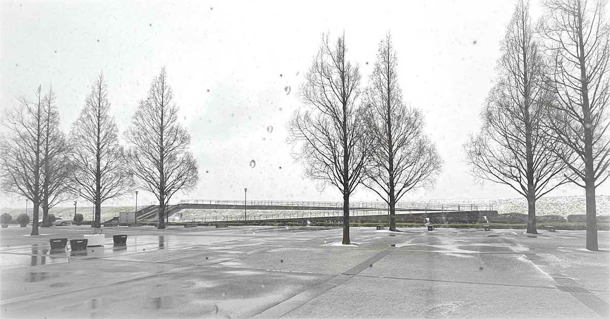 1yottan's tweet photo. みんなのフォトギャラリー✳︎ #49-写真/加工✳︎雨水〜うすい〜|1yottan @1yottan #note #みんなでつくる冬アルバム https://t.co/N6Jrs3cLN3 #ファインダー越しの私の世界 #worldoverfinder #izufantasy #1Yo #魔女のお茶会 #1yottanrecipe #雨 #雨水 #写真 #写真加工 #モノトーン #樹木 #風景 https://t.co/07rUpZlRmW