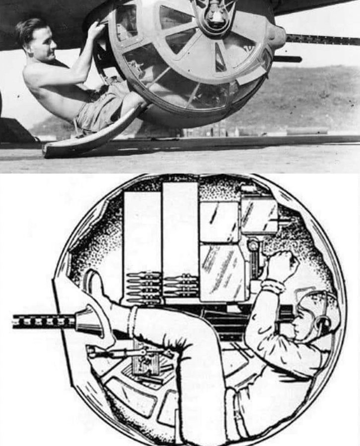 fasc1nate's tweet image. The B-17 ball turret gunner was a subject of American poet Randall Jarrell's poem titled "The Death of the Ball Turret Gunner," published in 1945. The poem goes as follows:

"From my mother's sleep I fell
into the State,
And I hunched in its belly till
my wet fur froze.
Six miles