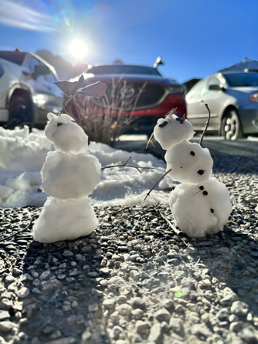 Saw these little guys, probably won’t be around for too long. Life is short so cherish it ⛄️☀️