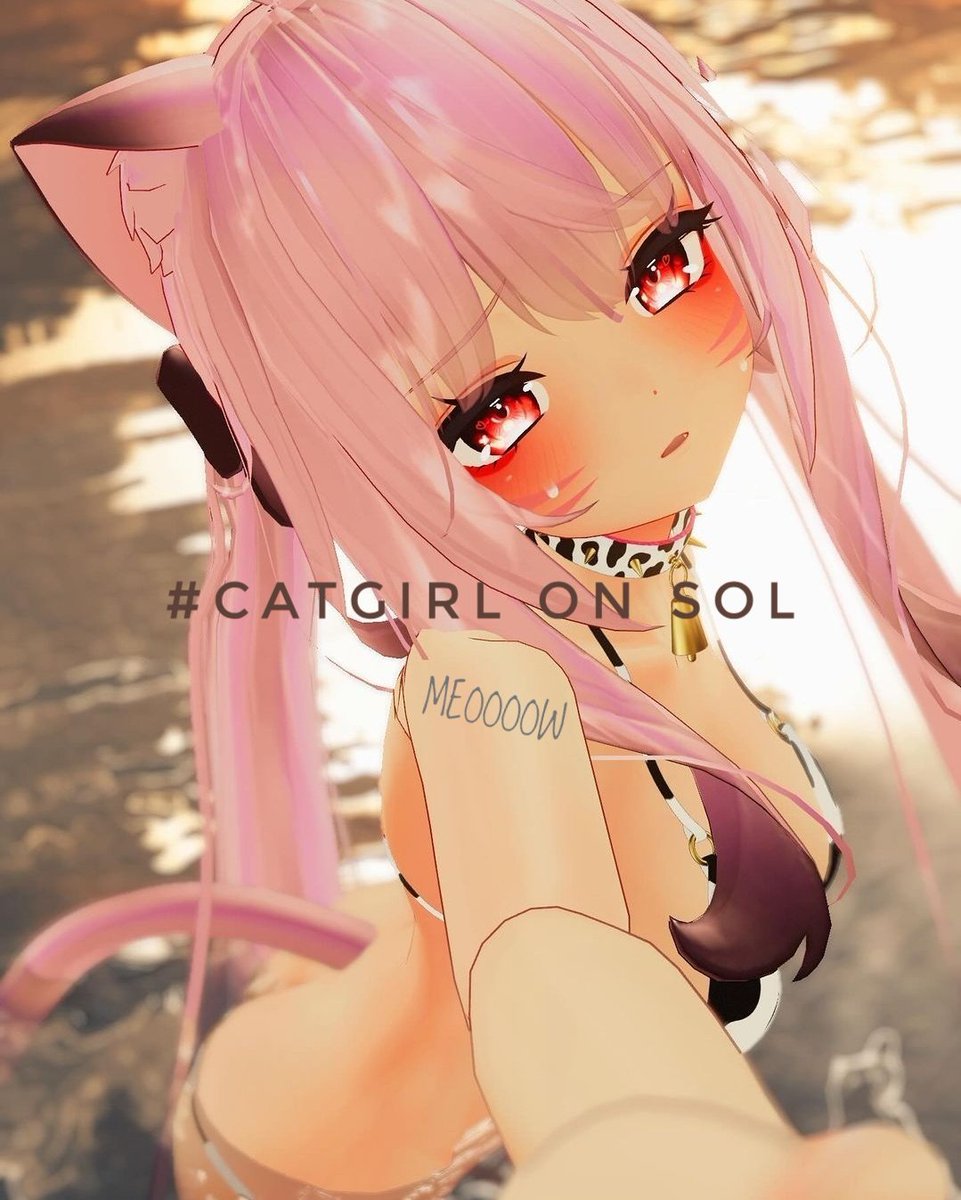 THE CATGIRL NETWORK tweet media