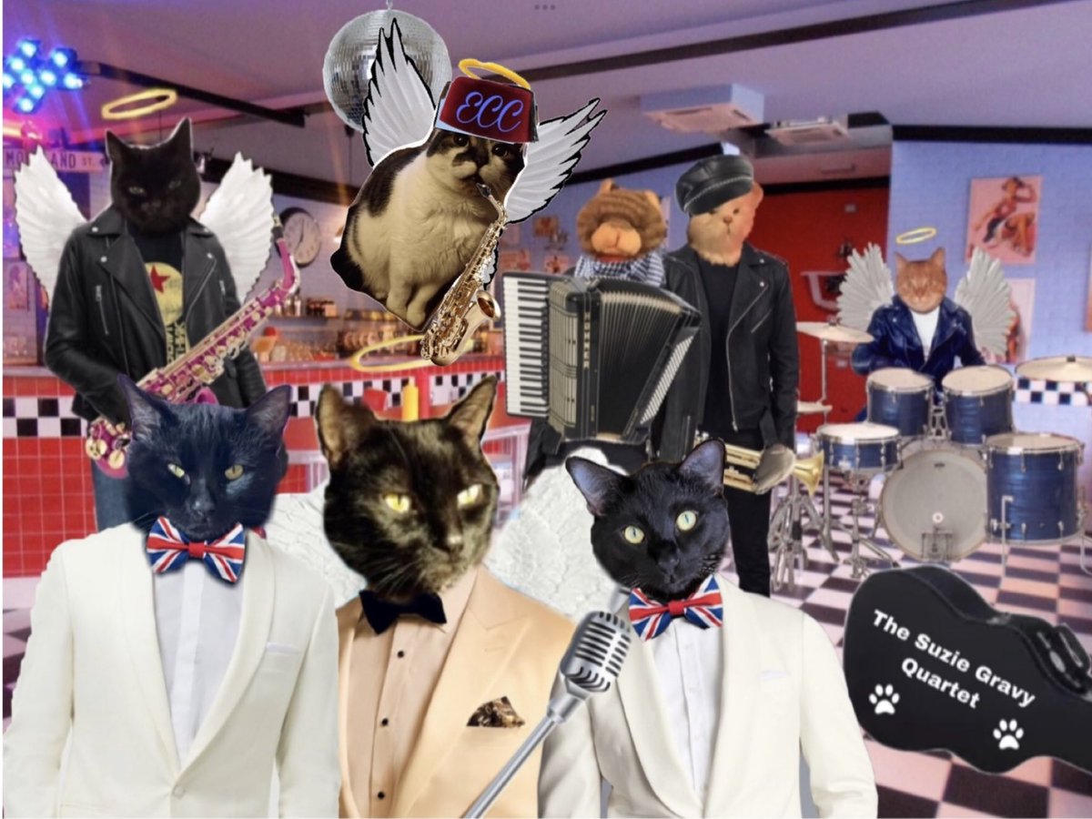 Thank mew efurryone! Mew have been a great audience as always! Thank mew for coming along to this special first anniversary pawty for Puddin & Murph at the #ECCPopUpDiner We hope mew have enjoyed yourselves. As always, we will be at the bar to sign copies of tonight’s album!