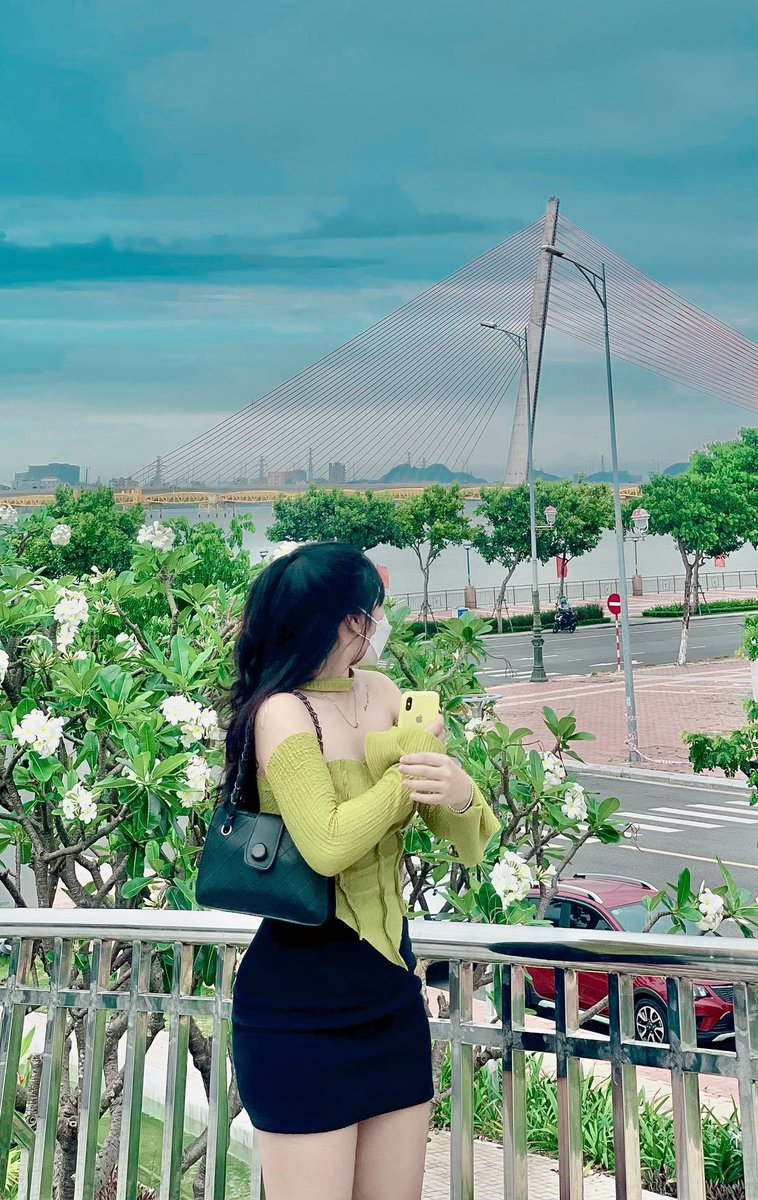Đà Nẵng tweet media