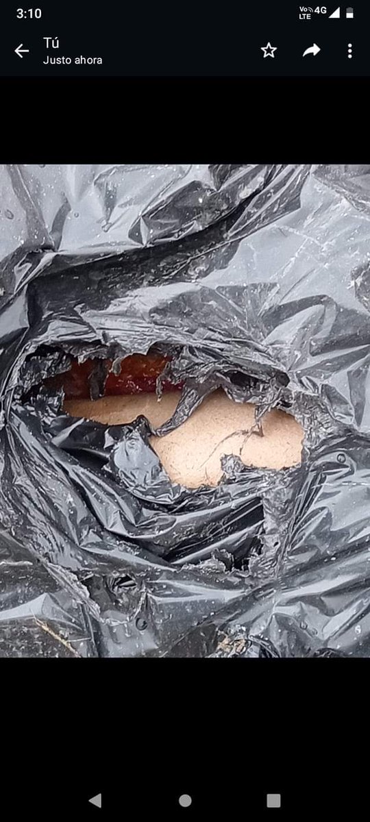 SrViolentoMx's tweet photo. #Juaréz #NvoLeon #NL

18/02/2024

Encuentran restos de cuerpos humanos en 3 bolsas, Cerrado La avenida Rancho en Curro, Entre Colonia Paseo Santa Fe y Paseo Las Lomas Cc @MennyValdz @Ar1zZ17 https://t.co/d30spKlDNH