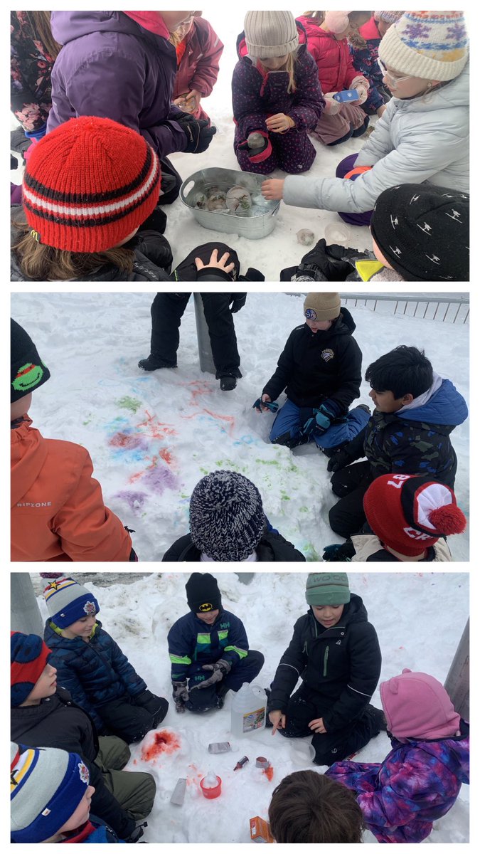 Alison Moore tweet media