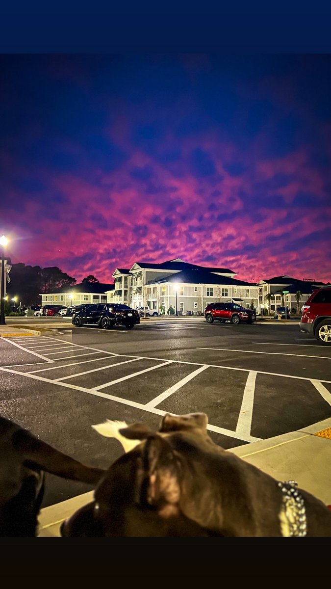 NickFrags tweet media