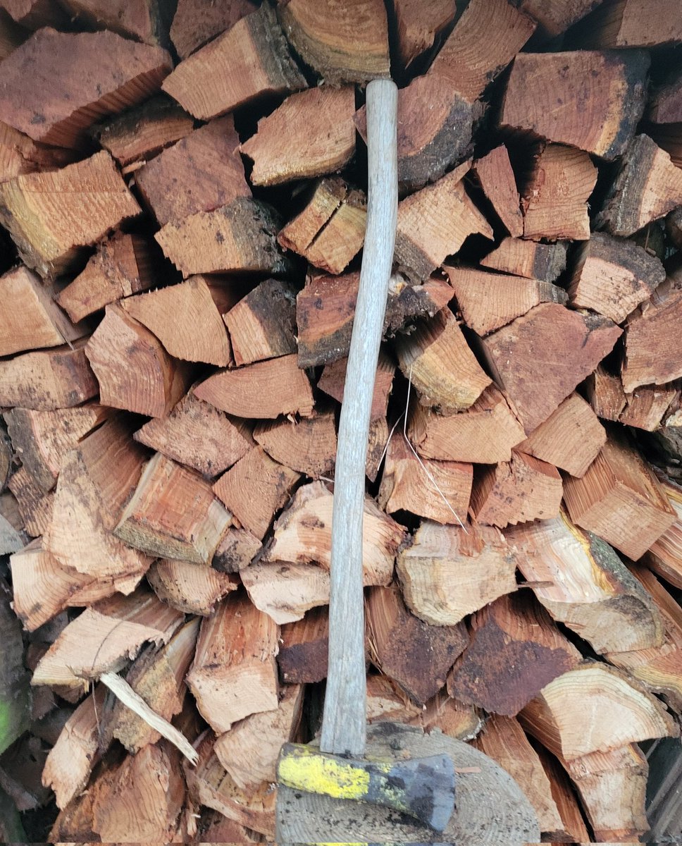 A satisfying day for a bald man from the PNW? Cutting a half cord of wood with a 10 lb wedge while wearing a REI flannel shirt, REI hiking trousers, and an Eddie Bauer adventure cap. Finishing up the day, of course, by replenishing with a chilled lemon ginger kombucha.