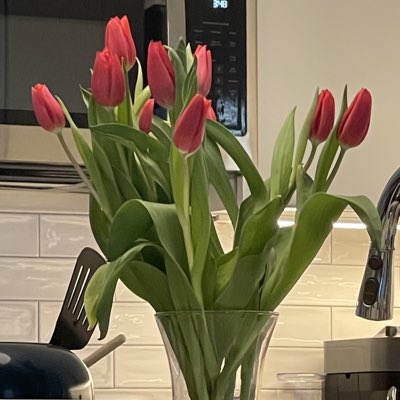PhillipShawn's tweet photo. #NewProfilePic https://t.co/PScbQoVc6n
