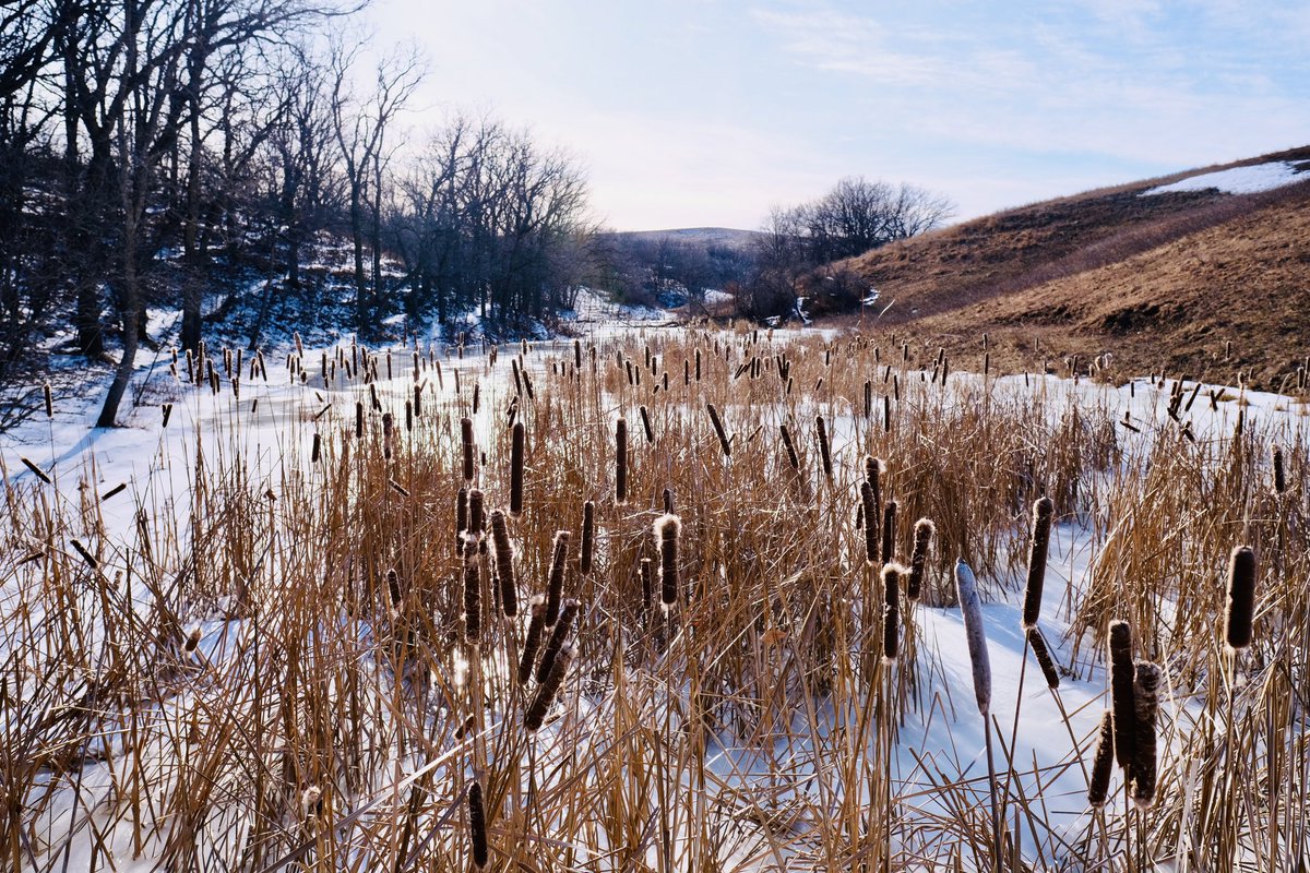 I had a good hike today in the coulees north of Bismarck.