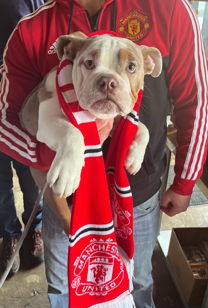 The Detroit Red Devils (@detroitreddevil) / Posts / X
