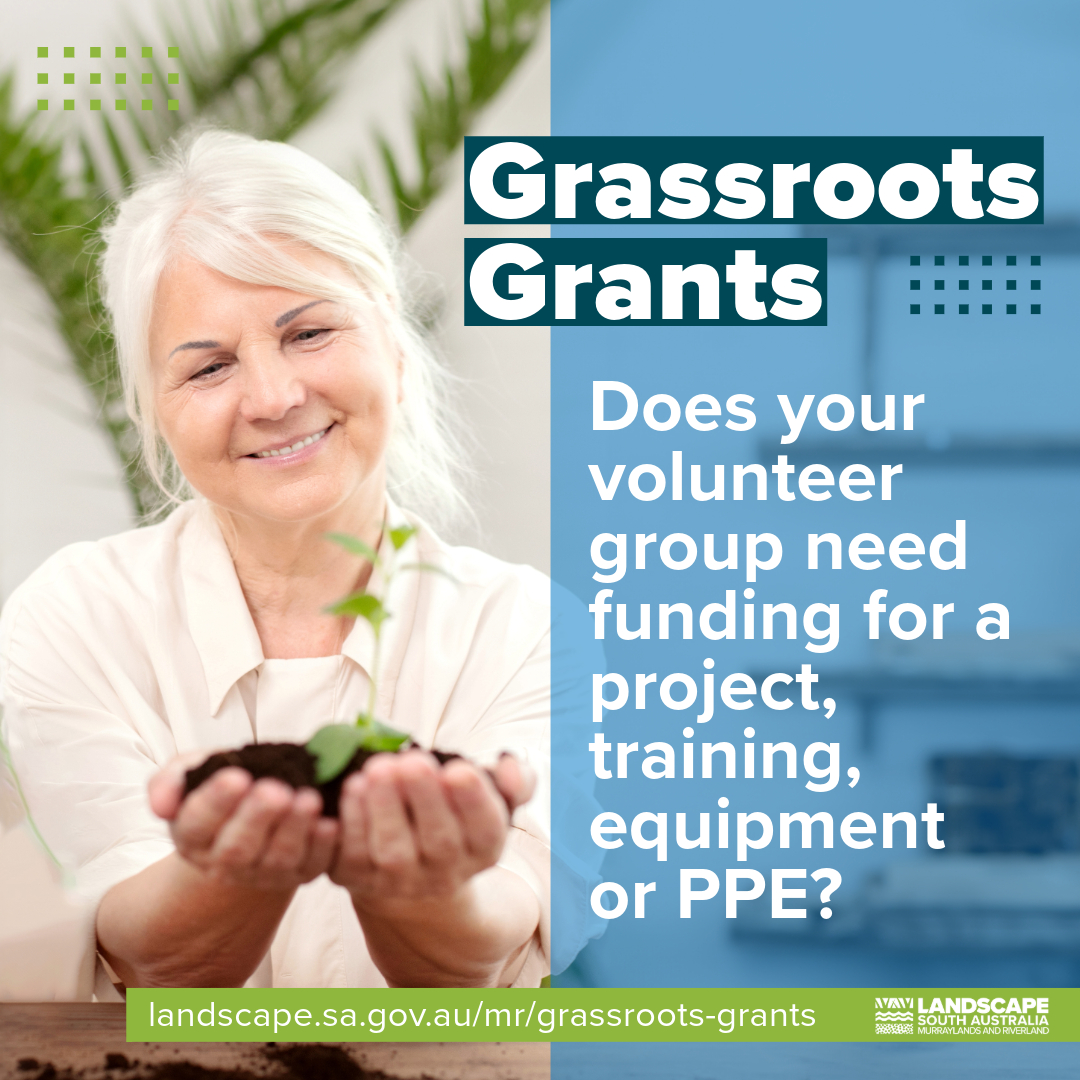 If you’re part of a volunteer group with a or ecological focus, Grassroots Grants can help to support your work. Funding is available to provide equipment and training required to safely complete projects. Applications open on Monday. More info: landscape.sa.gov.au/mr/get-involve…