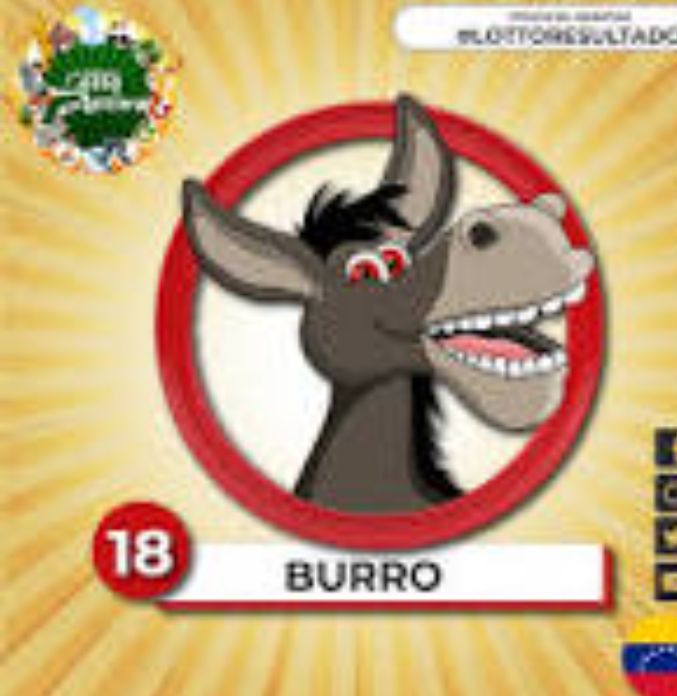 Radarhipico's tweet image. #Lunes #Animalitos #RegalosAbiertos 
@marrpacheco 
 #LottoActivoRD
#LottoActivo internacional