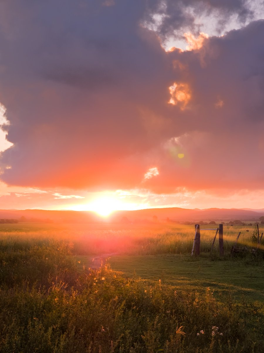 FlorCeka's tweet image. No pedí nacer aquí,  simplemente tuve el honor.🍃🌳🇦🇷