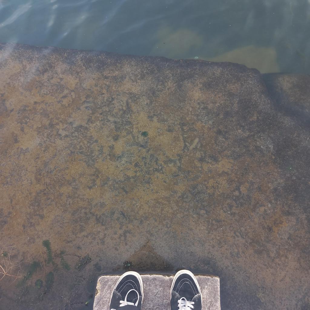 kaizenwav's tweet image. si tienen la oportunidad de escuchar 'la máquina persona' frente a un lago, aprovechenla 🙏🏻