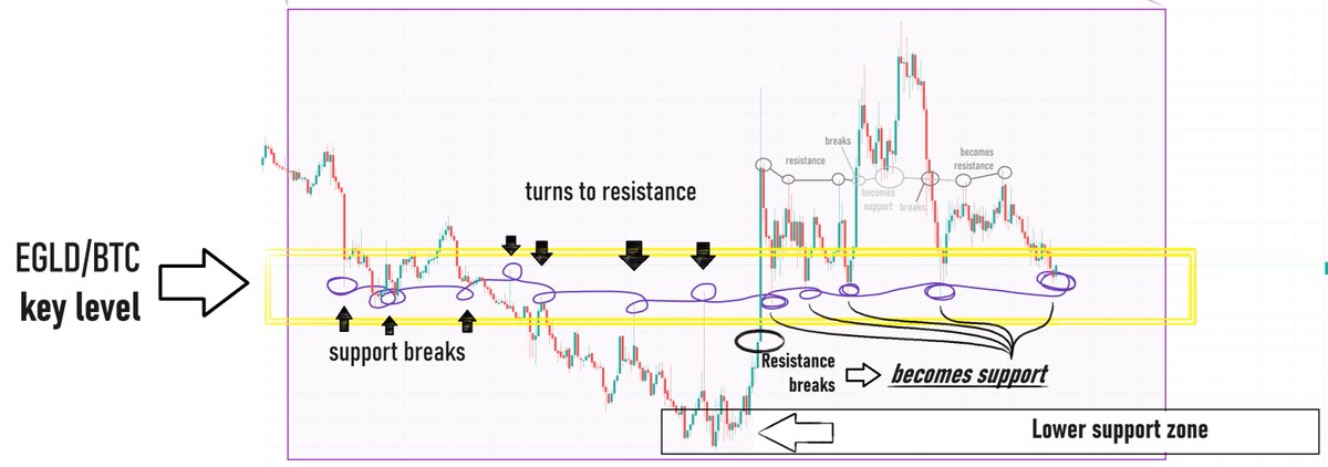 Stephen S. tweet media