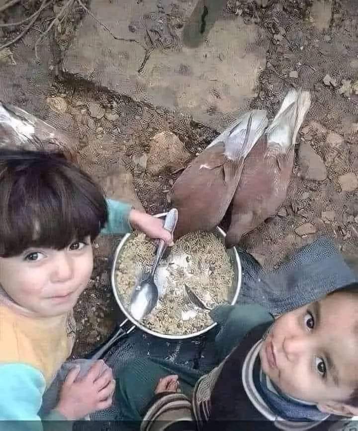 وتيجي تقول لواحد صاحبك اعمل مقا.طعة يقولك مش هقدر ابطل البيبسي والشيبسي..
#قاطع_من_اجل_غزه