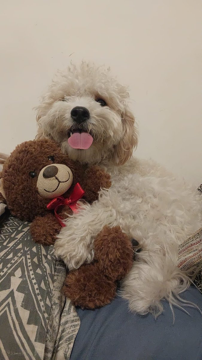 Definime esta foto...