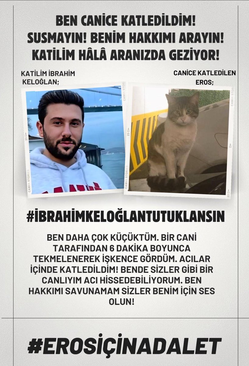 Çanlar ibrahim için çalıyor. Sen tutuklanana kadar Eros'un sesi olmaya davam edeceğiz. Kaçışın yok ibrahim. 

#ibrahimkeloğlantutuklansın