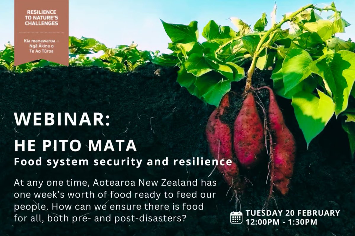 Join @ResilienceNSC tomorrow to explore how we might build a food system that ensures NZ has enough food to feed our people, both pre- & post-disasters. He Pito Mata features experts on food security, food resilience & indigenous food sovereignty. resiliencechallenge.nz/webinar-he-pit…