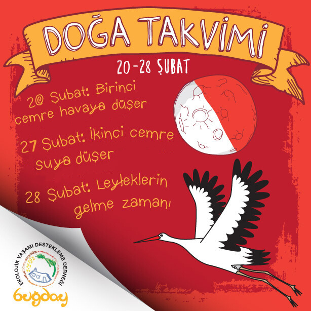 Cemreler düşüyor, leylekler geliyor; bahar kapıda! 💚

#BuğdayDerneği #DoğaTakvimi #Leylek #LeyleyZamanı #Cemre #Bahar #BirinciCemre #İkinciCemre #Şubat

İllüstrasyon ve Tasarım: Tolga Demirel