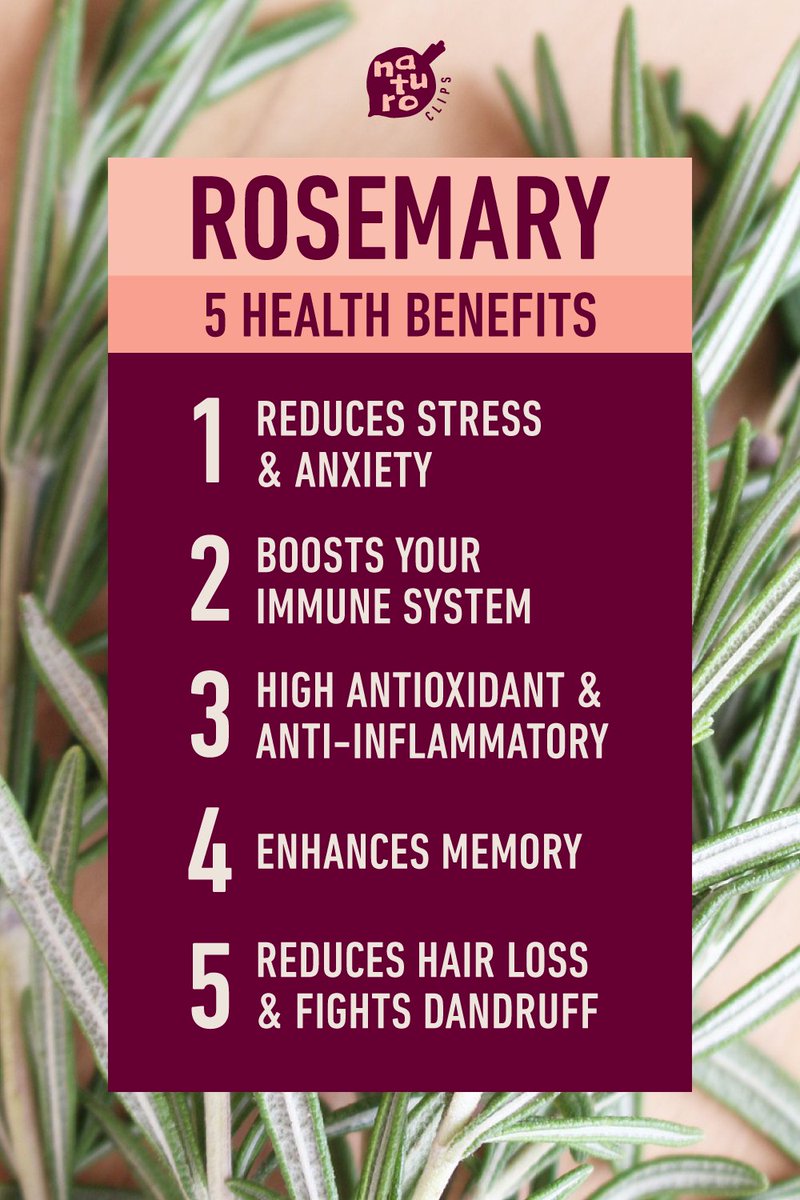 NaturoClips's tweet image. Rosemary is a wonderful herb that provides a wide range of health advantages, here you have some of the #RosemaryBenefits 

1 #StressRelief
2 #ImmuneBoost
3 #Antioxidant
4 #MemoryEnhancer
5 #Dandruff and #HairLossPrevention