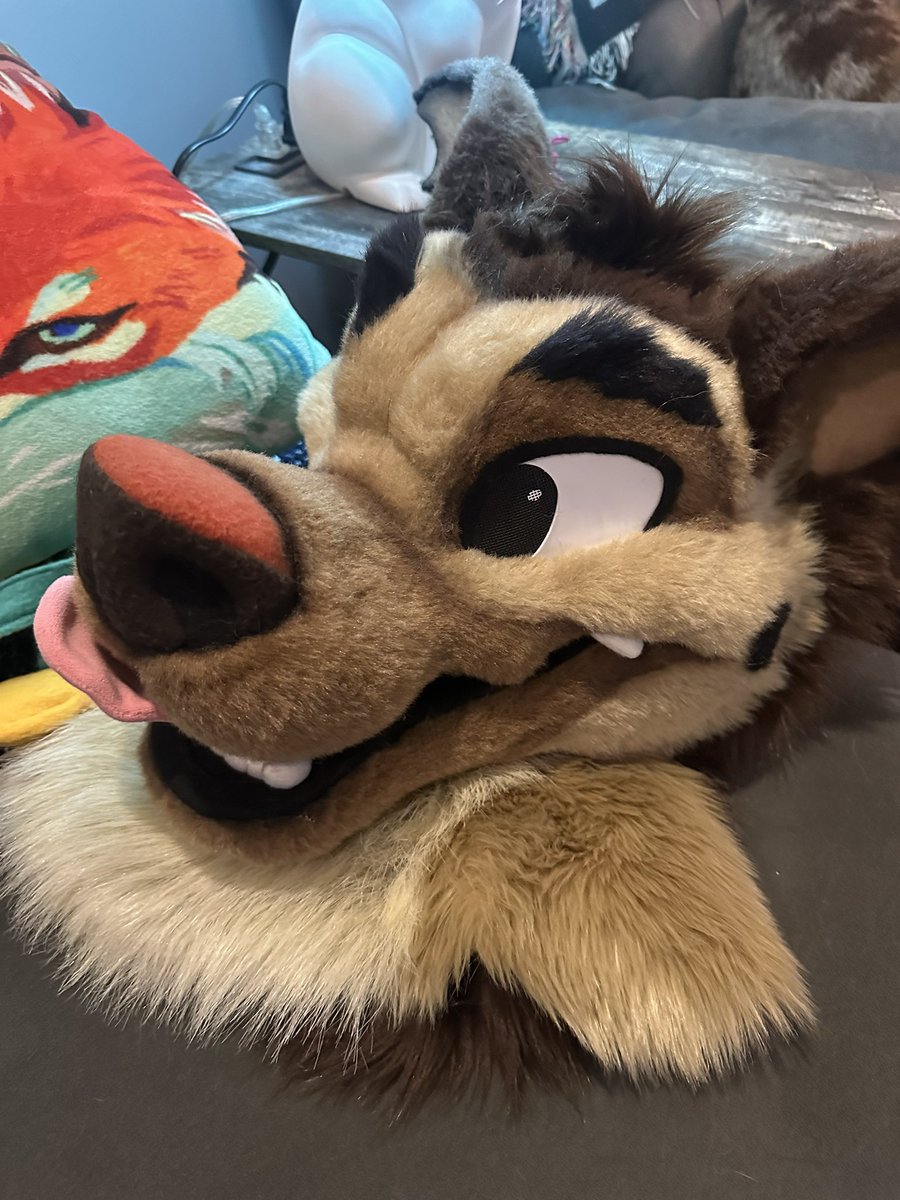 MadeFurYou's tweet image. We’re selling our Charlie Barkin head! Starting only at $1500! He has a posable tongue and comes with his pocket watch! thedealersden.com/listing/charli…
