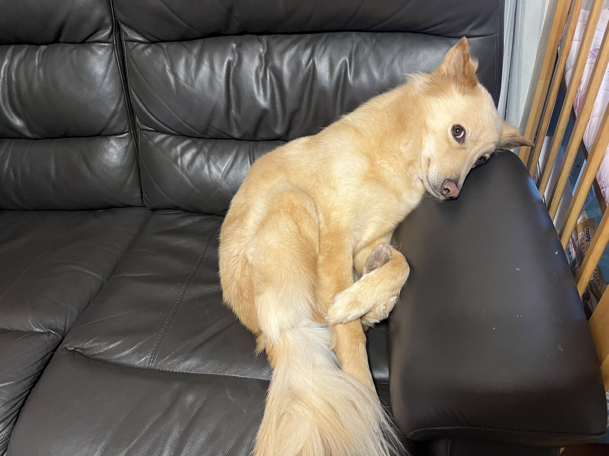 ソファの使い方の癖