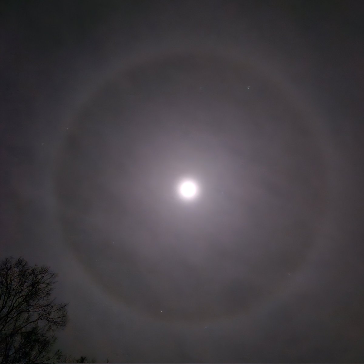 Oh, look - a moon halo. Science! #ncwx #atmosphericphysics #atmosphericscience #meteorology