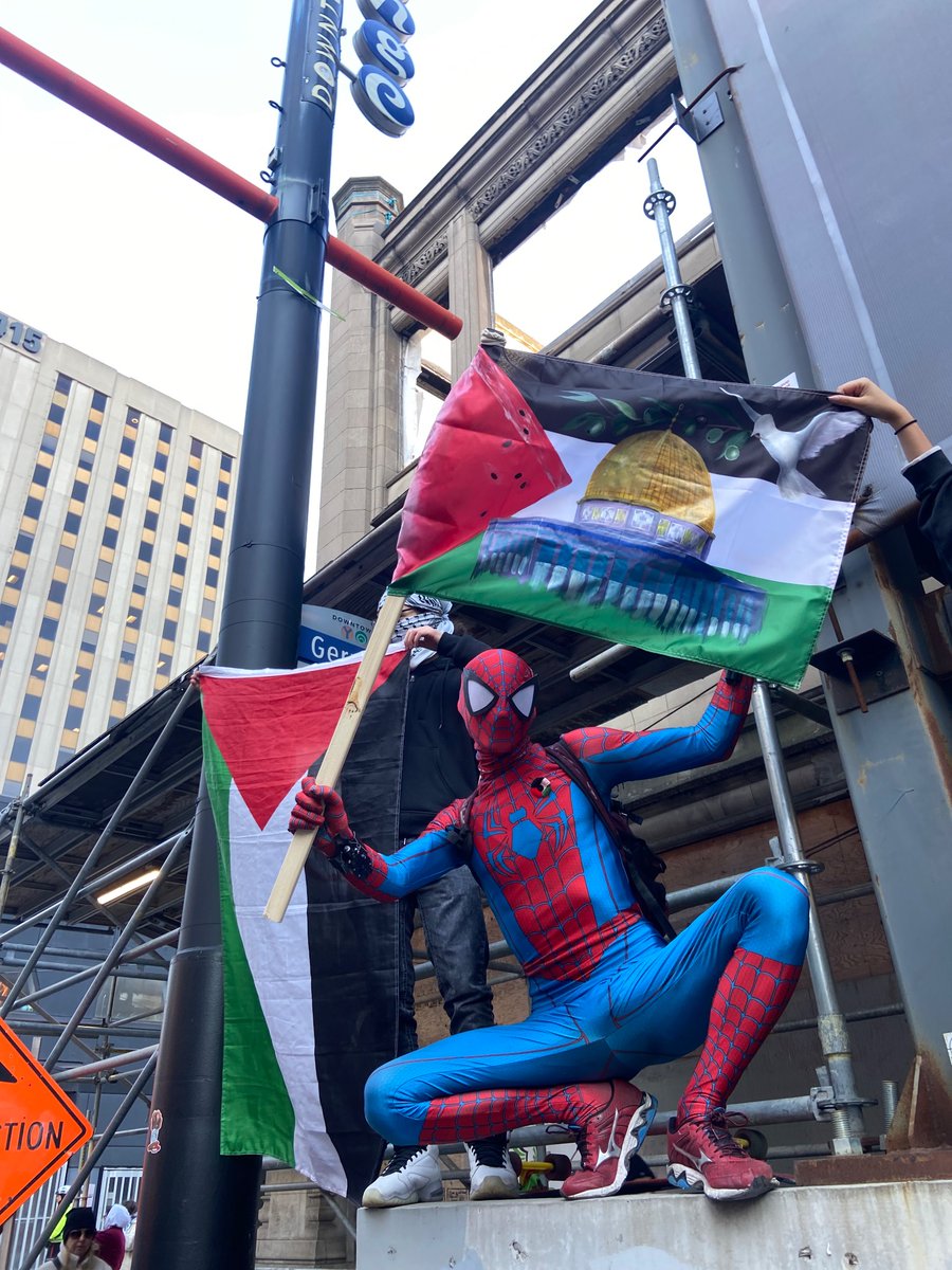 Spider-Man supporting Palestine >>>>>>>