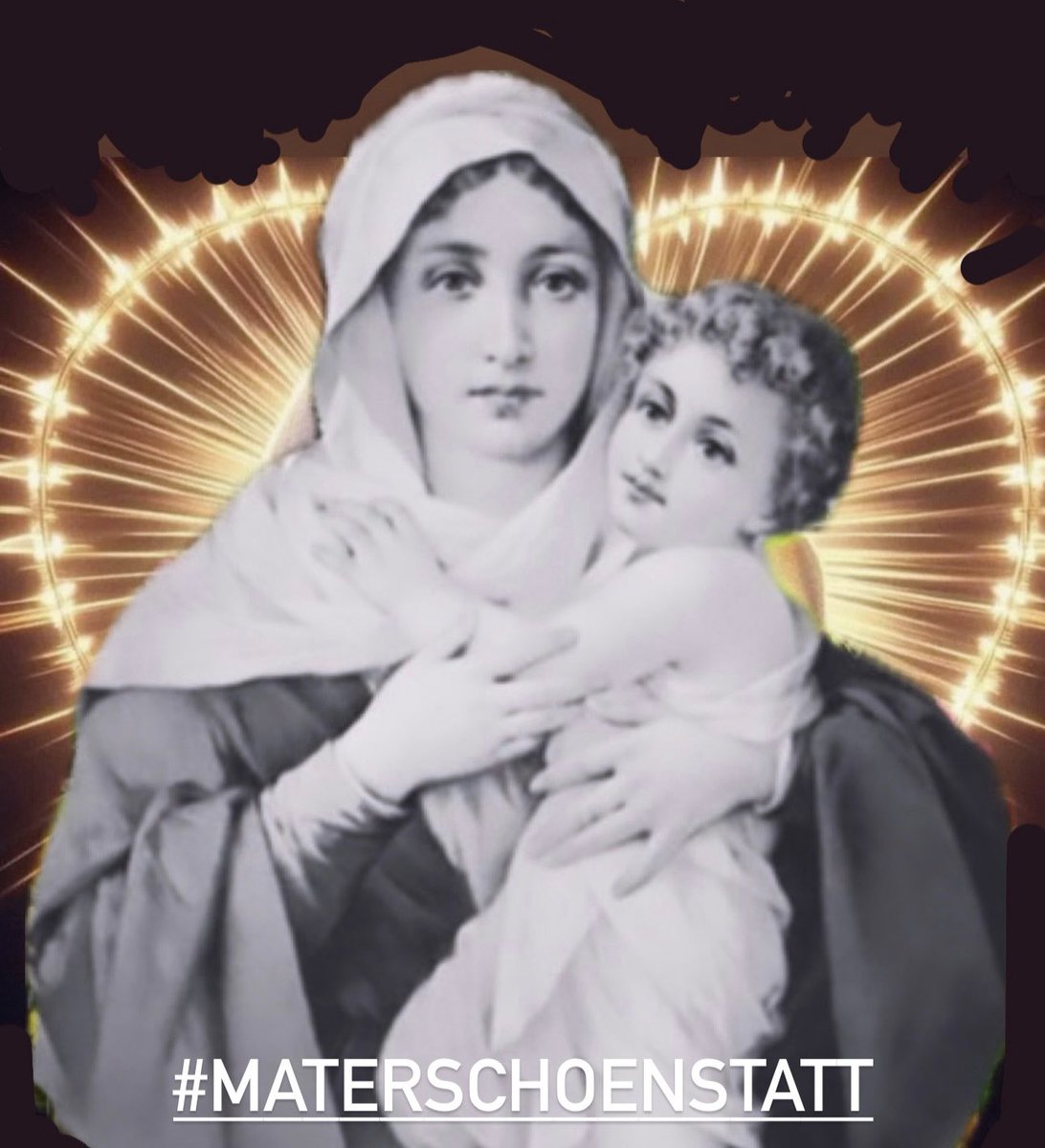 MaterSchoenstatt tweet media