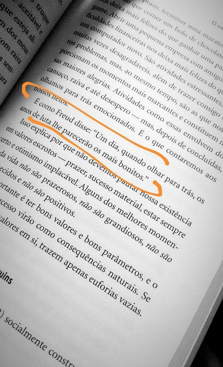 Vivendo e Aprendendo (@incomplexidades) on Twitter photo 