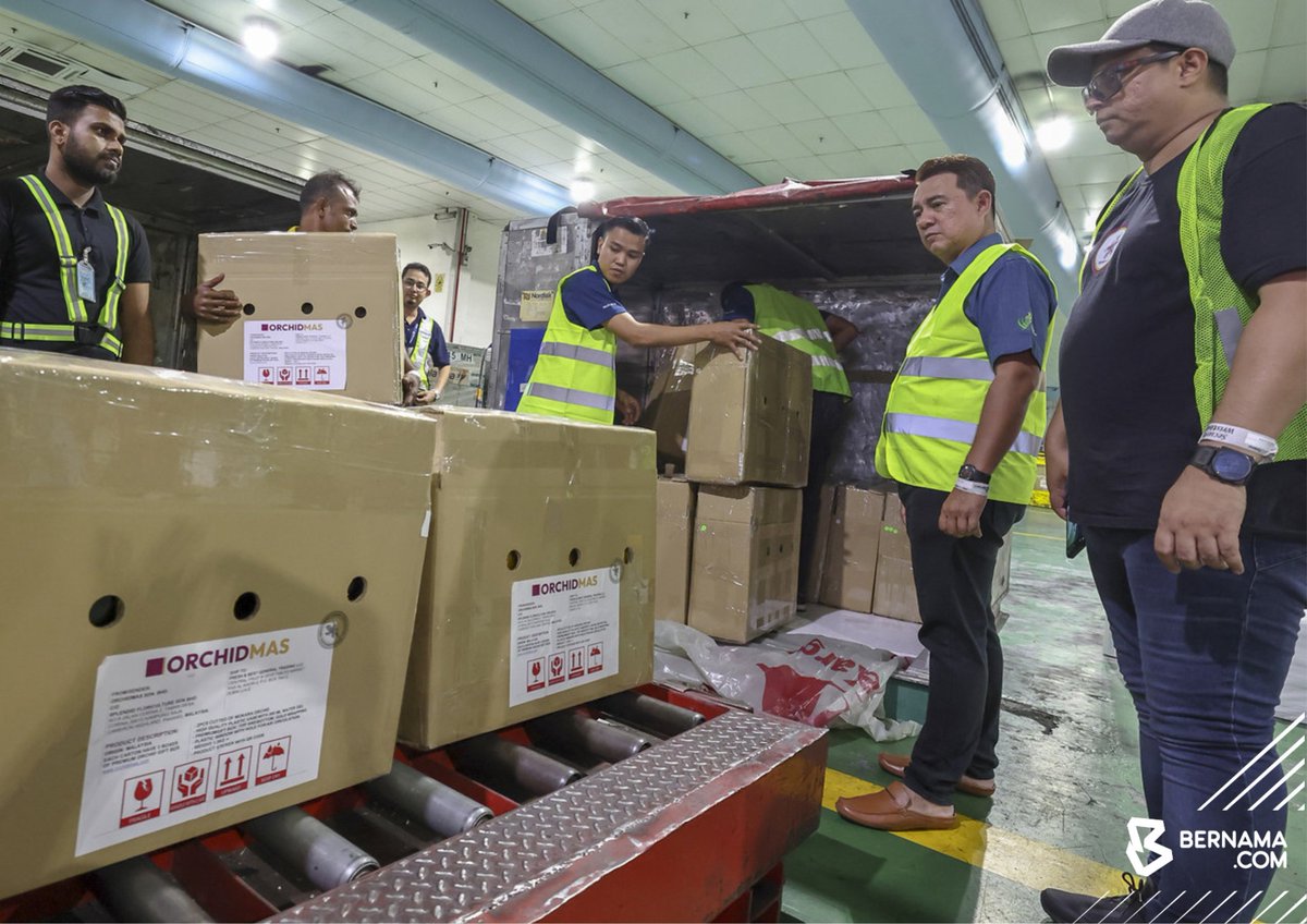 bernamadotcom's tweet photo. Pengeksportan Orkid Mokara ke Dubai jadi penanda aras industri orkid negara
https://t.co/F2zSUDarTB
#BernamaImages #BernamaNews #orkid