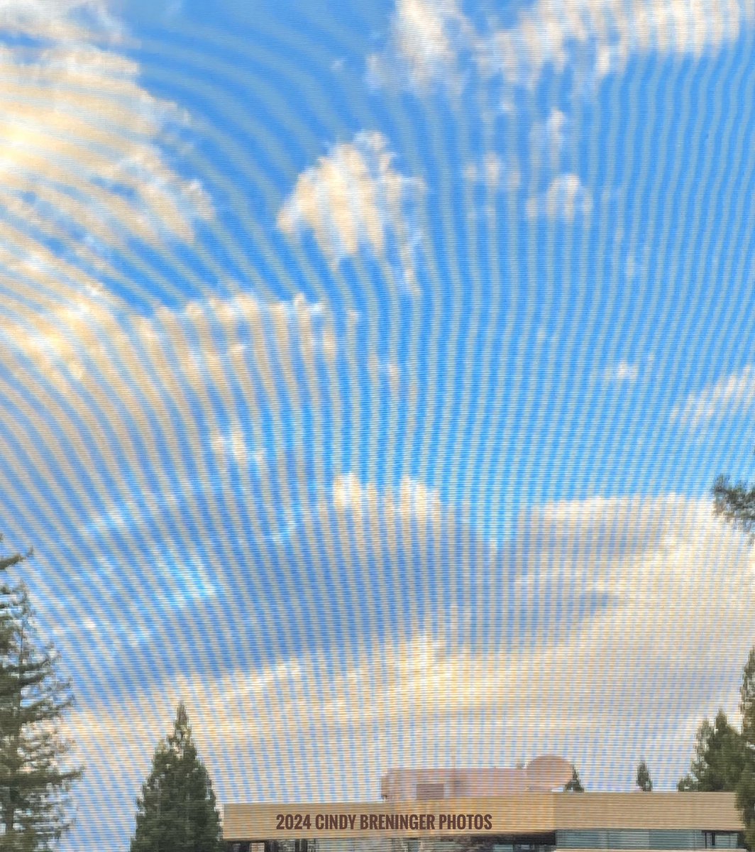cindy_photos's tweet photo. I closed my eyes for “just a minute. I woke up a couple hours later to some cool clouds. I took some pics and noticed the screen looked cool. Not sure why it looks like squiggly lines, but still cool. #cloudporn #outmywindow #cloudy #trees #clouds https://t.co/pGYDOWNTjx