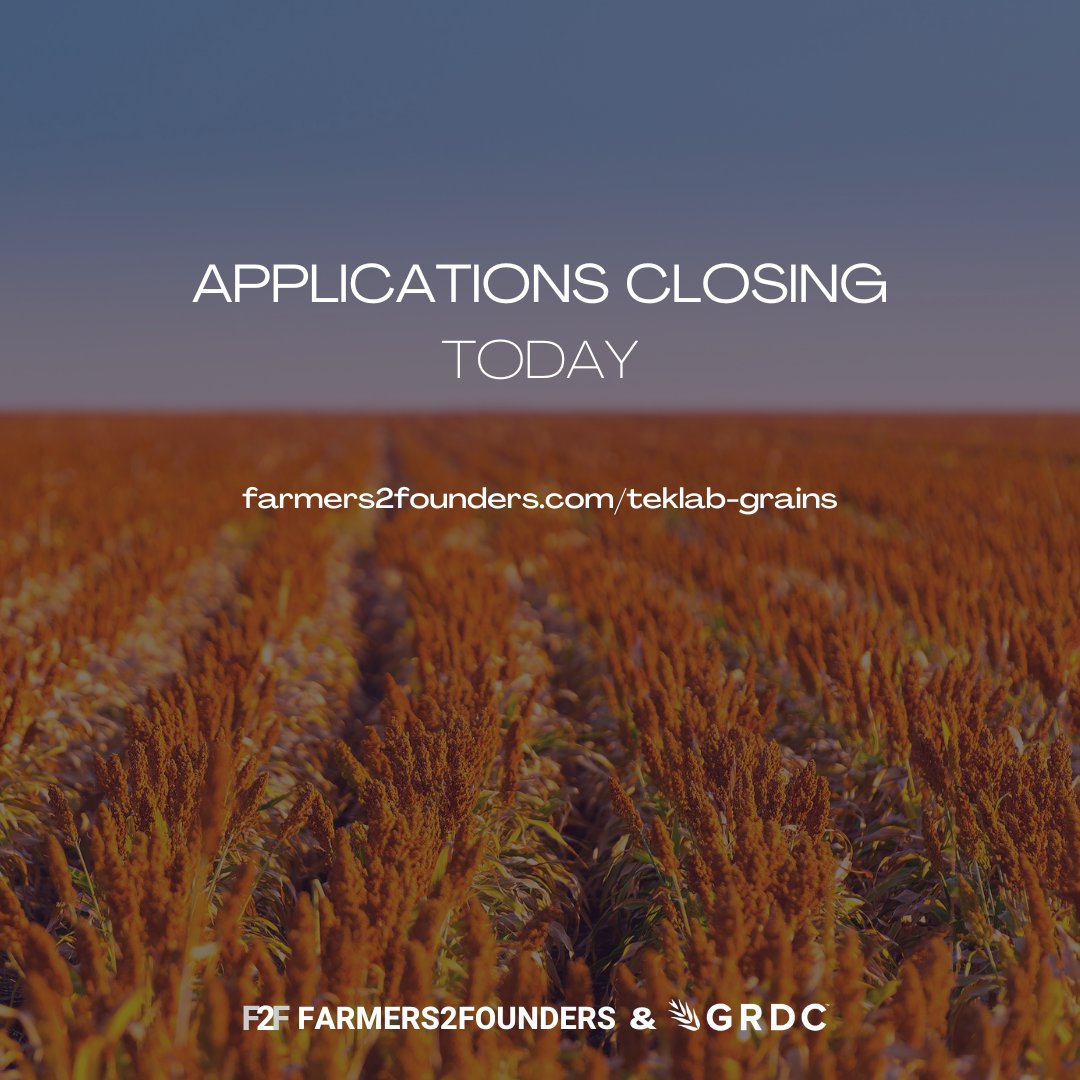 You've got to be in it to win it 😉 ⭐️ Put your application in today for the TEKLAB Grains program and we will be in touch next week. 📌 farmers2founders.com/teklab-grains @grdc #graininnovation #agtechstartup #techstartup #aginnovation #agchatoz #AgriFoodTech #aussieag #startupideas