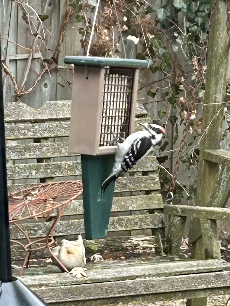 Angela 🇨🇦 tweet media