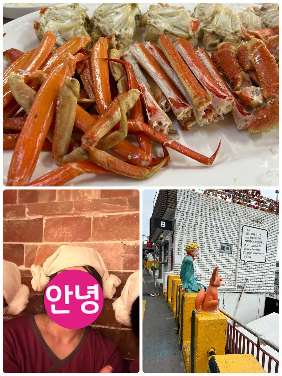 ฉันไปเที่ยวปูซานกับเพื่อน กินปูและไปน้ำพุร้อน🦀 ปีที่แล้วฉันไปเรียนภาษาเกาหลีประมาณ 7 เดือน แต่พูดไม่ได้เลย😅 ไม่ได้ไปเกาหลีนานแล้ว ฉันคิดว่าเป็นประเทศที่ก้าวหน้ามาก เด็ก ๆ สามารถนั่งรถไฟด้วยจักรยานได้ และผู้สูงอายุก็สามารถนั่งรถไฟด้วยรถยนต์ไฟฟ้าได้👏