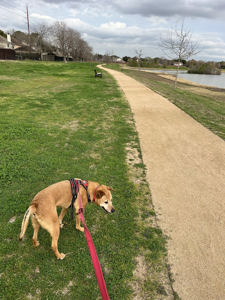 Had a great walk this weekend with Wiley and the @GCSWHEARLab #WalkNListen. Love rethinking rest as an act of resistance. Nap in at the gcsw anyone?