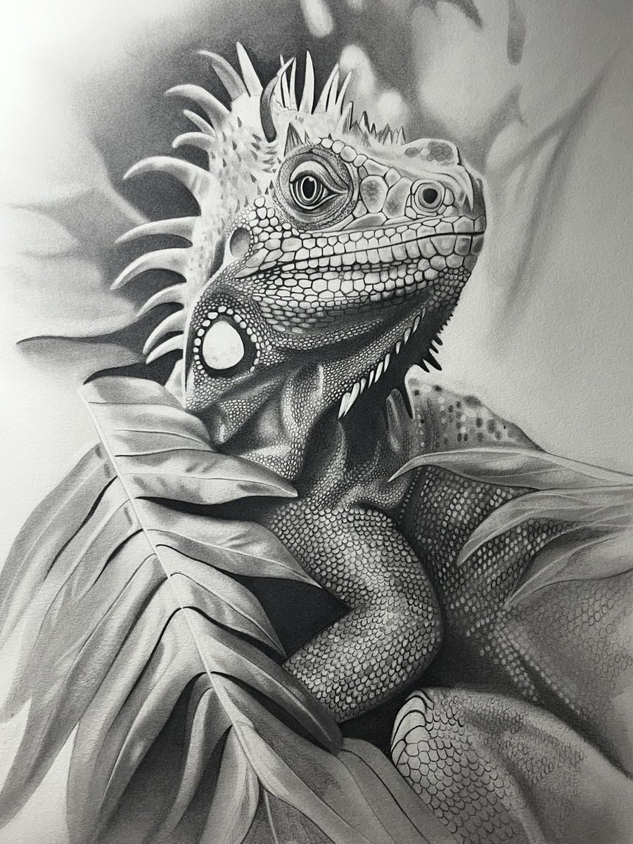 Graphiteartz's tweet image. ✏️ NEW DRAWING ✏️ 

Check out my newest graphite drawing.✍️ 

#artists #x #twitter @elonmusk @joerogan #graphite