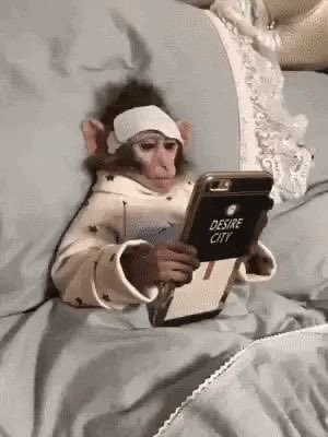 yo viendo todo el bardo de benja belv