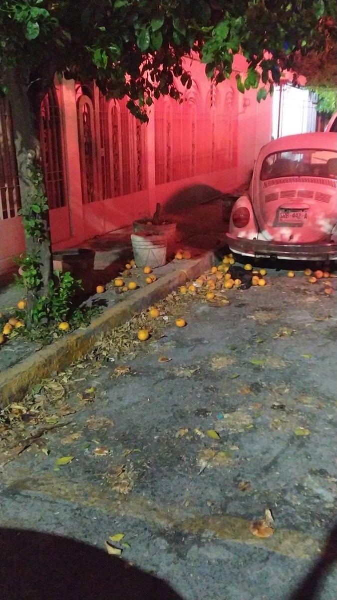 Sin Naranja Podrida/Con Naranja Podrida

Había olvidado confirmar, listo <a href="/_neofox/">Noé Torres</a>

¿De que lado estas?