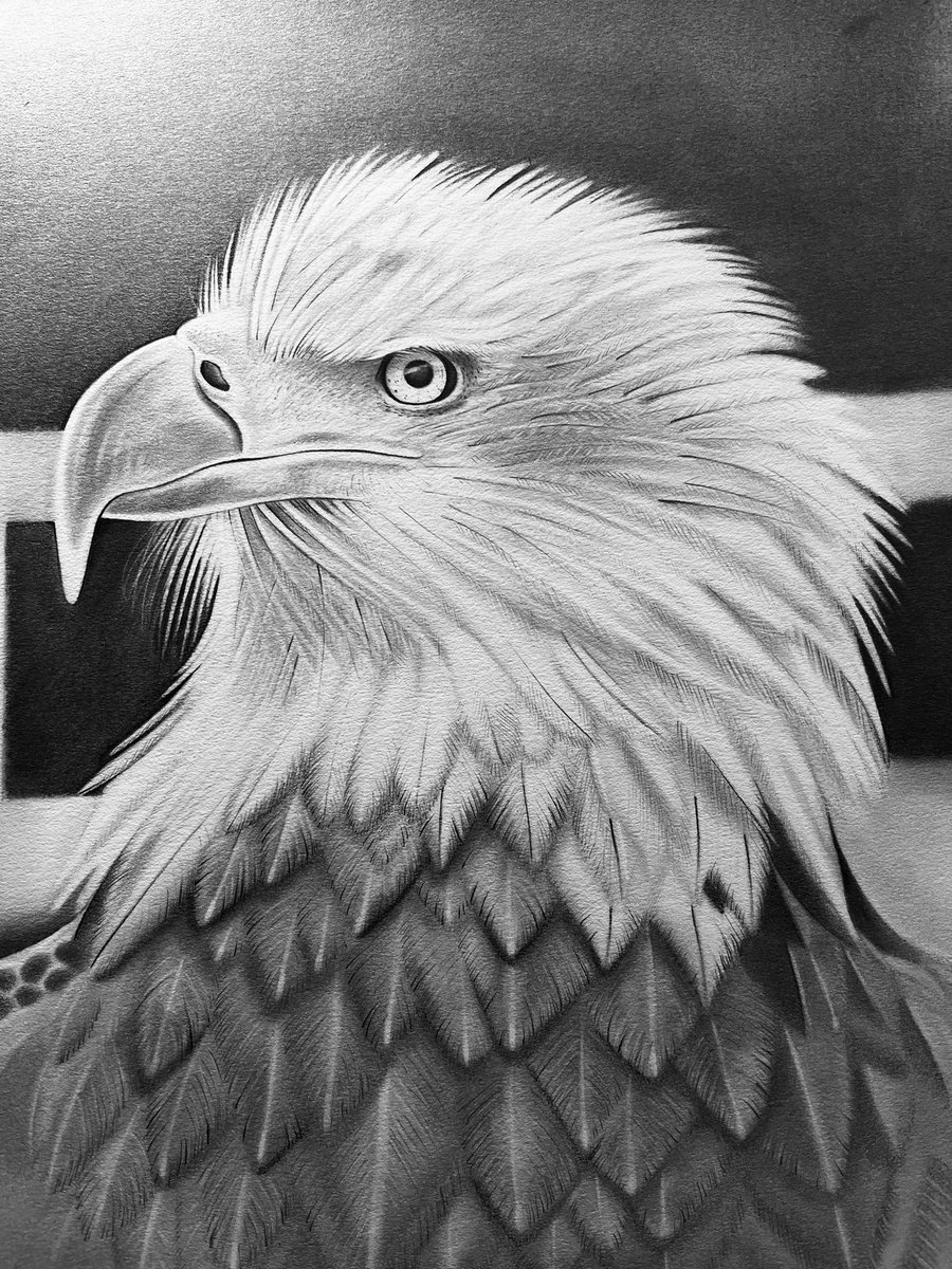 Graphiteartz's tweet image. #BaldEagle #ElonMusk #USA #Birds