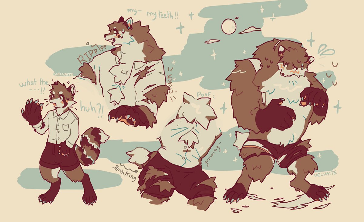 Werewolf transformation for <a href="/Jonoracc/">Jono :3c</a> !! 
… Big guy oopsie!

🖇 tf transfur #TFTuesday #TFEveryday