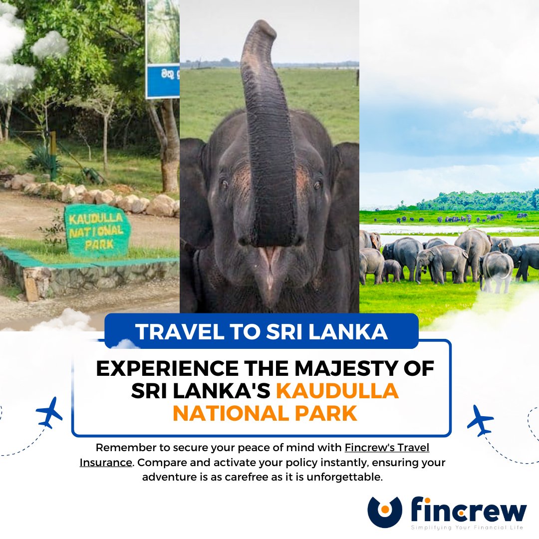 FinCrew_my's tweet photo. Embark on a safari adventure at Kaudulla National Park, where the wild elephants of Sri Lanka roam free and the beauty of nature is on full display. This park isn't just a wildlife sanctuary; it's a place where adventure meets serenity at the turn of every dirt path.
#Fincrew https://t.co/IbJGT787v6