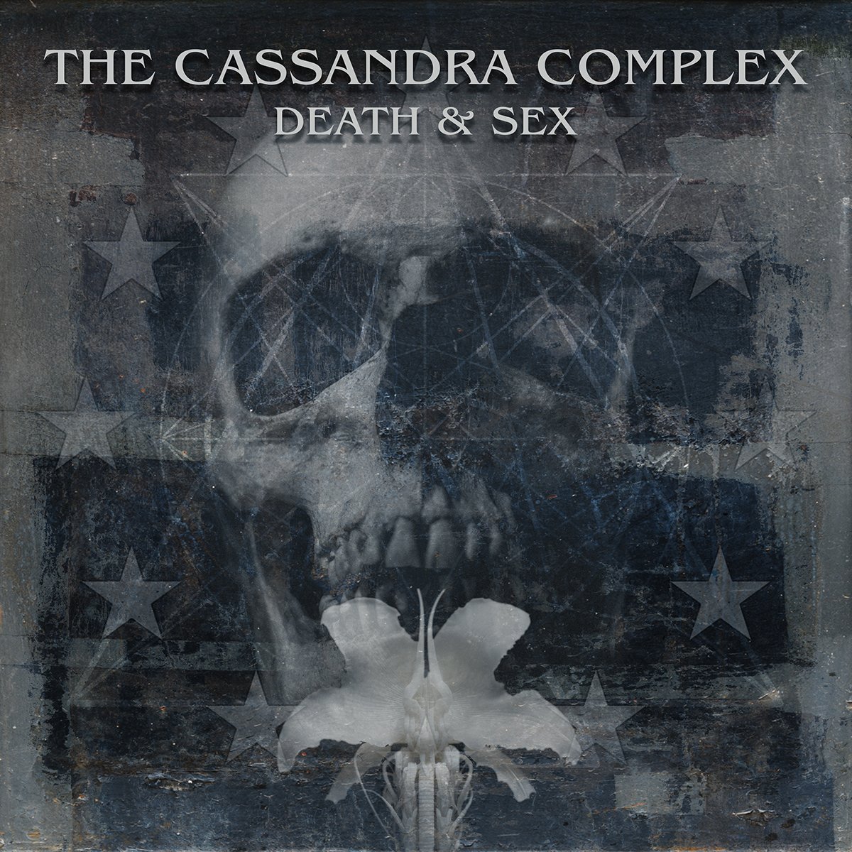 Vox Sinistra (@vox_sinistra) on Twitter photo My next streaming interview is next Saturday, Feb 24th ft. @rodneyorpheus (<a href="/c_complex/">The Cassandra Complex ๐๐ธ๐น๐ค</a>) + listening party for the new release Death & Sex, out
March 8 on <a href="/copint/">christian petke</a> ๐ฅ
Tune in at 11am Pacific on youtube.com/VoxSinistra or twitch.tv/VoxSinistra
RSVP - facebook.com/events/1793811โฆ My next streaming interview is next Saturday, Feb 24th ft. @rodneyorpheus (<a href="/c_complex/">The Cassandra Complex ๐๐ธ๐น๐ค</a>) + listening party for the new release Death & Sex, out
March 8 on <a href="/copint/">christian petke</a> ๐ฅ
Tune in at 11am Pacific on youtube.com/VoxSinistra or twitch.tv/VoxSinistra
RSVP - facebook.com/events/1793811โฆ