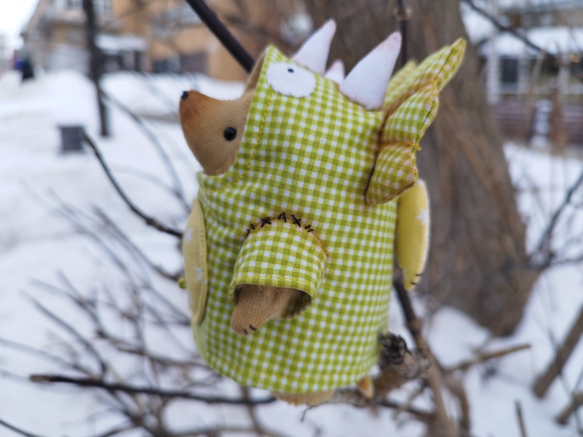 Вы думаете, что ëжики снять зимой? Фигушки. Они очень активно тусят)