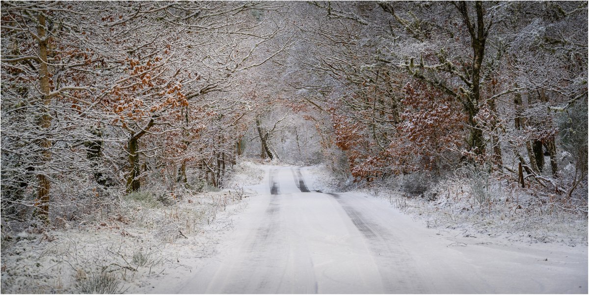 Overnight snow by the Loch #capturewithconfidence #uknikon @Kingjoyuk