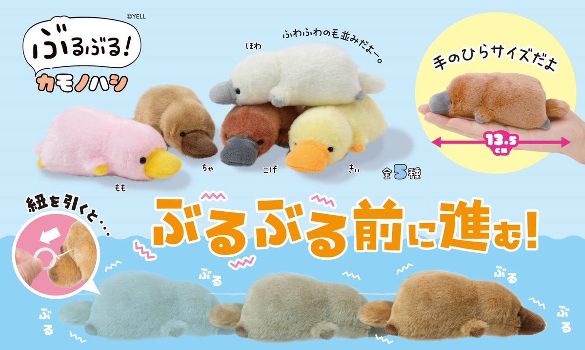 🏕️2月新ぬいぐるみのご紹介🏕️ 『ぶるぶる！カモノハシ』 大人気