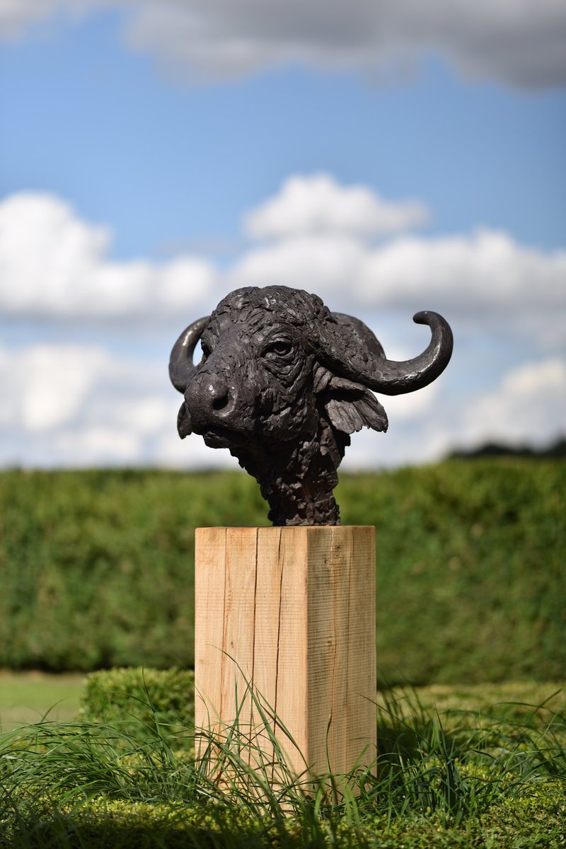 Cape Buffalo Head 2017

hamishmackie.com/sculptures/cap…

#capebuffalo #buffalo #bigfive #bigfivesafari #safarianimals #safari #africansafari #landscapeart #landscapesculpture #gardenart #gardenstatue #gardensculpture #sculpture #artwork #statue #outdoorart #outdoorsculpture